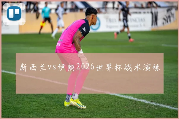 新西兰vs伊朗2026世界杯战术演练