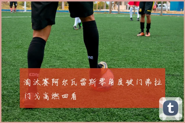淘汰赛阿尔瓦雷斯零角度破门弗拉门戈高燃回看