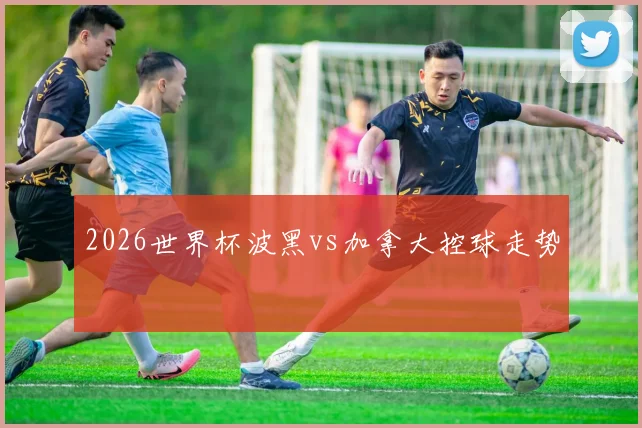 2026世界杯波黑vs加拿大控球走势