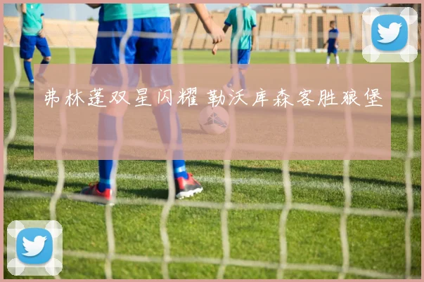 弗林蓬双星闪耀 勒沃库森客胜狼堡