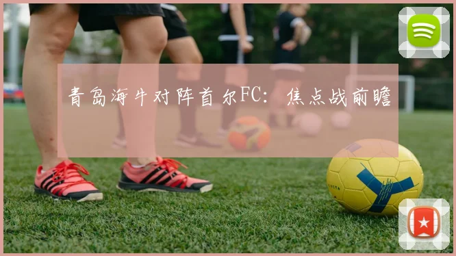 青岛海牛对阵首尔FC:焦点战前瞻