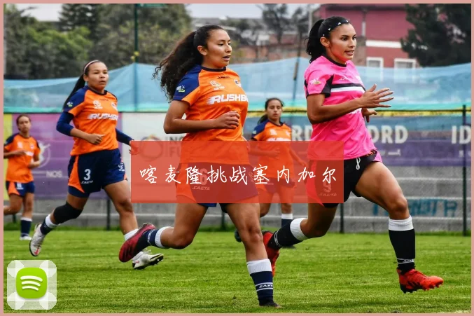 喀麦隆挑战塞内加尔