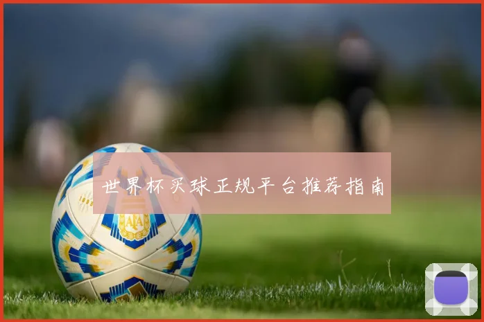 世界杯买球正规平台推荐指南