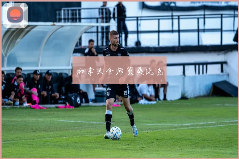加拿大会师莫桑比克