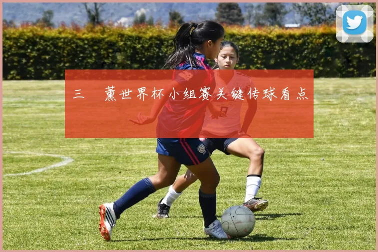 三笘薰世界杯小组赛关键传球看点