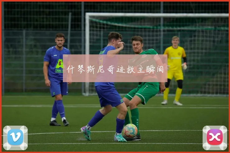 什琴斯尼奇迹救主瞬间