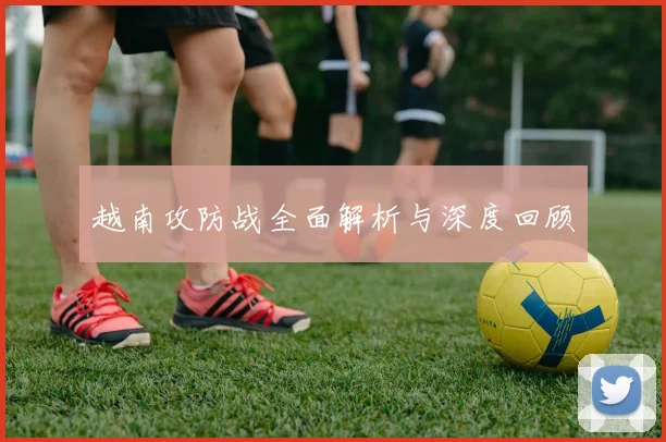 越南攻防战全面解析与深度回顾