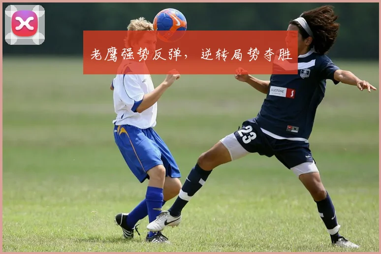 老鹰强势反弹，逆转局势夺胜