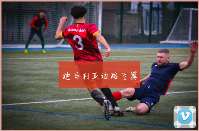 迪马利亚边路飞翼