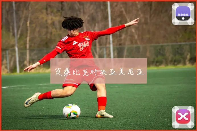莫桑比克对决亚美尼亚