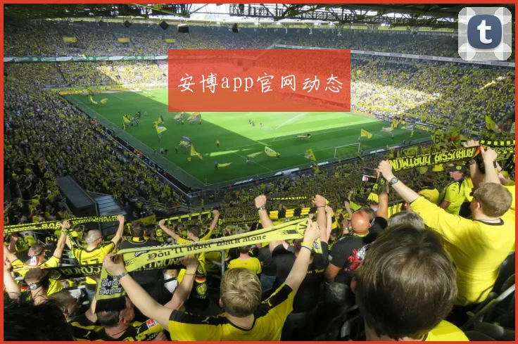安博app官网动态
