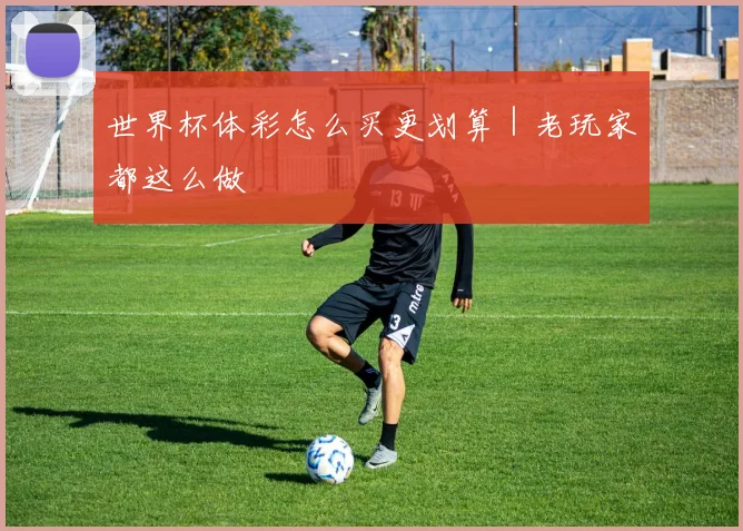 世界杯体彩怎么买更划算｜老玩家都这么做