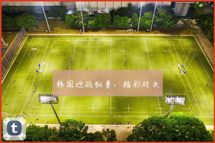 韩国迎战秘鲁，精彩对决