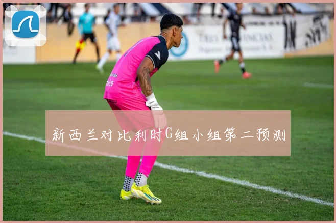 新西兰对比利时G组小组第二预测