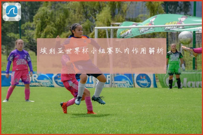 埃利亚世界杯小组赛队内作用解析