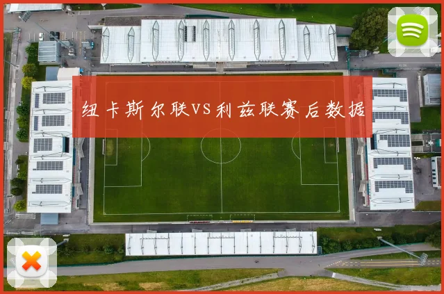 纽卡斯尔联vs利兹联赛后数据