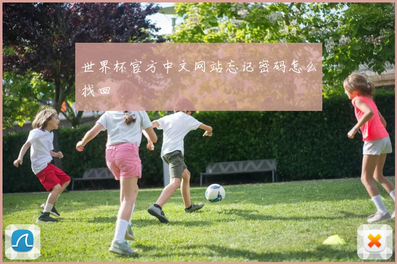 世界杯官方中文网站忘记密码怎么找回