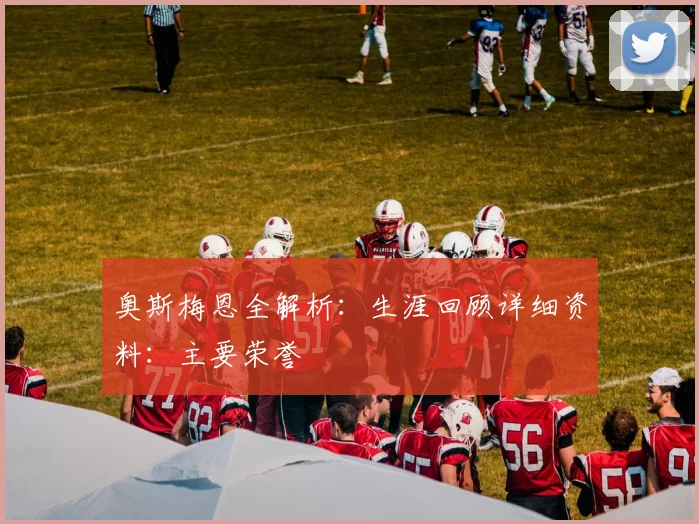 奥斯梅恩全解析：生涯回顾详细资料：主要荣誉