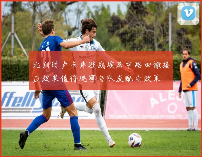比利时卢卡库迎战埃及中路回撤接应效果值得观察与队友配合效果